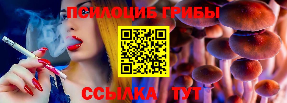 Псилоцибиновые грибы Psilocybine cubensis  Вход с VPN  Дмитров 